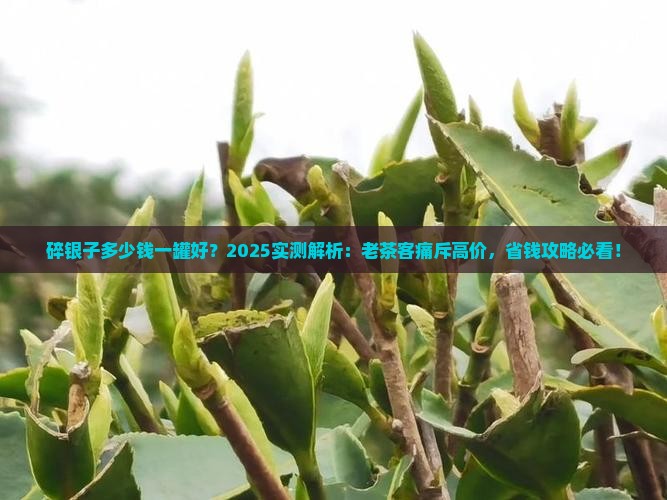 碎银子多少钱一罐好 碎银子多少钱一罐好