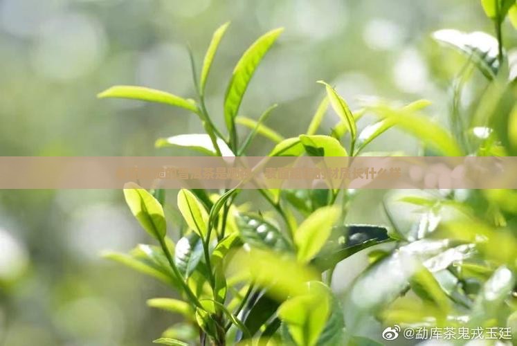 表面粗糙的普洱茶是哪种