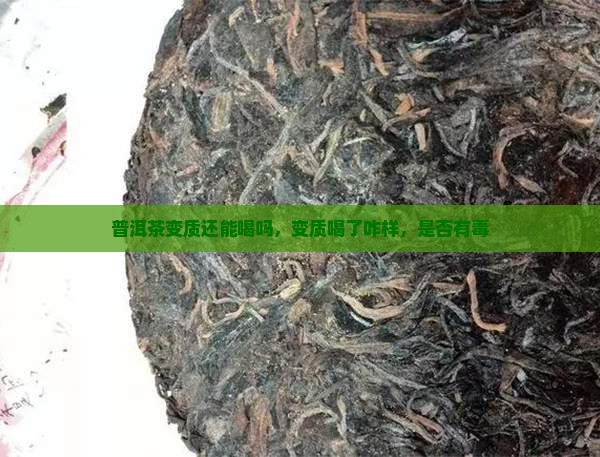 普洱茶变质还能喝吗
