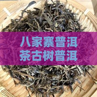 八家寨古树普洱茶