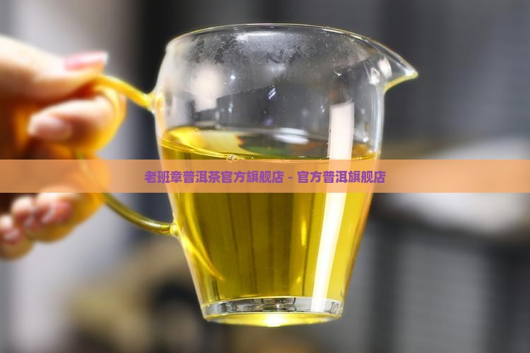 老班章300普洱茶官方旗舰店