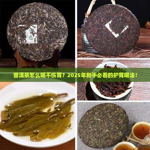 普洱茶怎么吃不伤胃