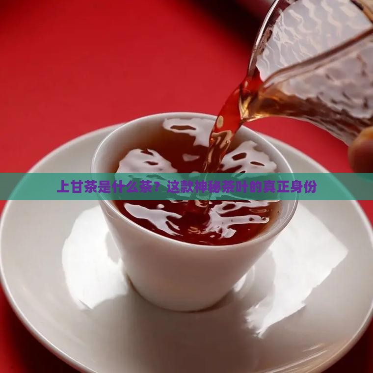 上甘茶是什么茶
