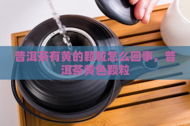 普洱茶有黄的颗粒