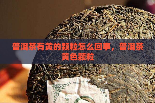普洱茶有黄的颗粒