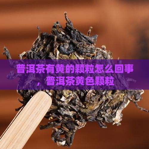 普洱茶有黄的颗粒