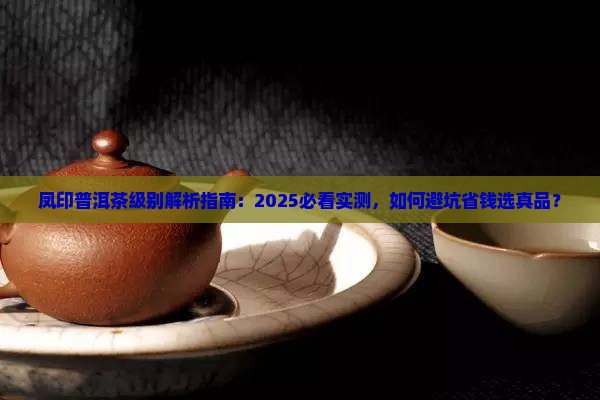 凤印普洱茶级别