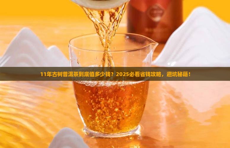 11年的古树普洱茶值多少钱