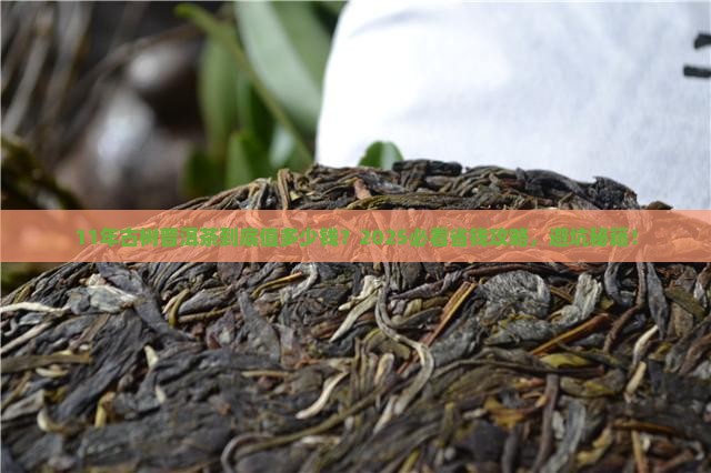 11年的古树普洱茶值多少钱