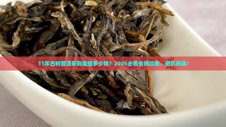 11年的古树普洱茶值多少钱