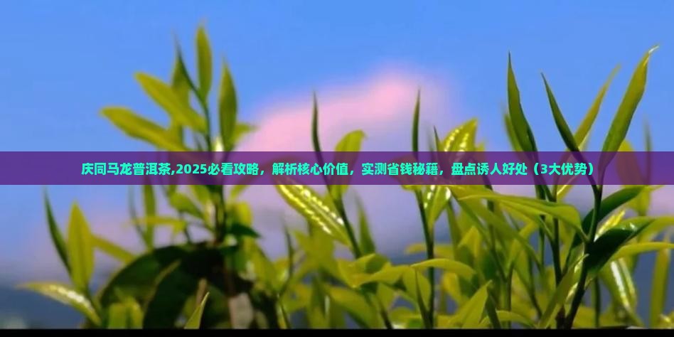 庆同马龙普洱茶