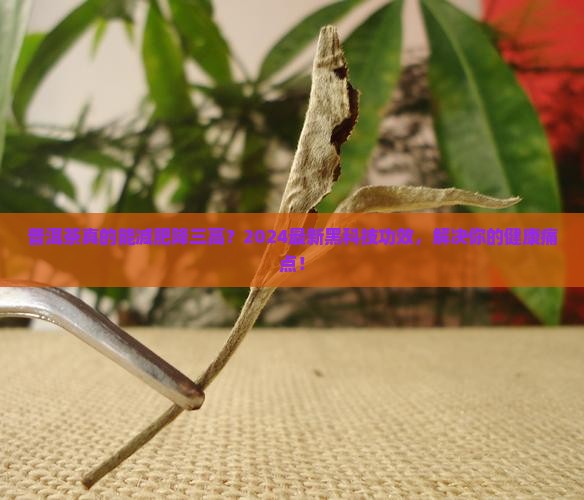 4普洱茶的功效和作用