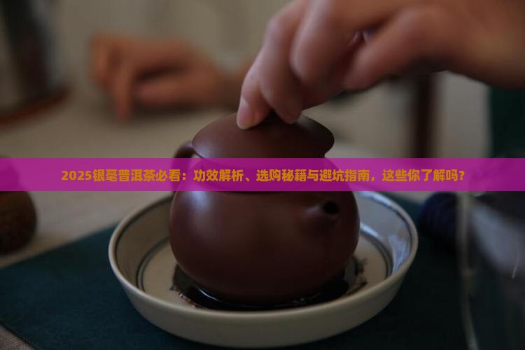 银毫普洱茶的功效和作用