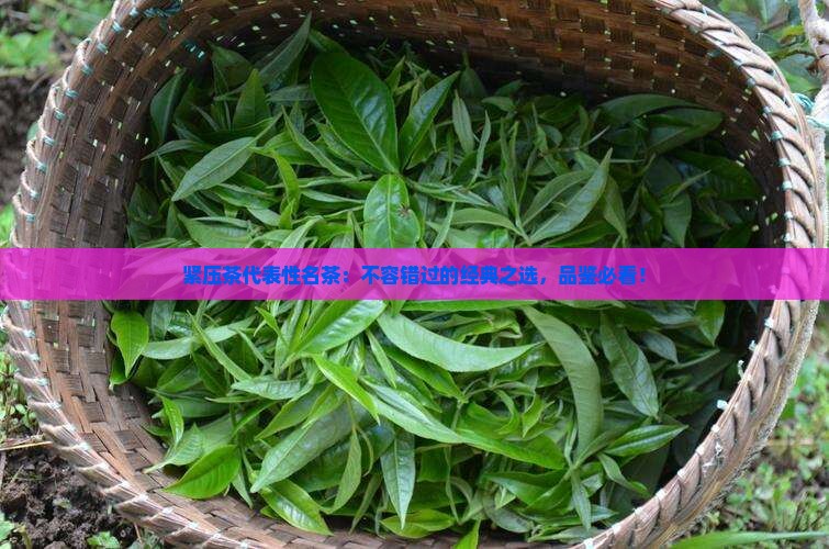 紧压茶代表性名茶