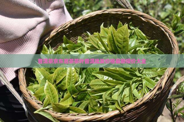 好的普洱茶价格多少