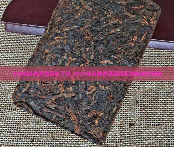 今年的头春普洱茶出了吗