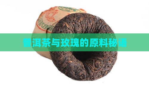 普洱茶有玖瑰的