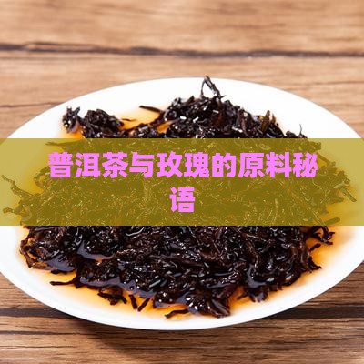 普洱茶有玖瑰的