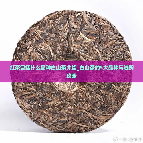 红茶包括什么品种白山茶介绍