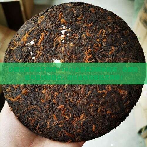 珍藏普洱茶能不能喝