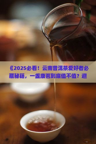 一盏康茗云南普洱茶