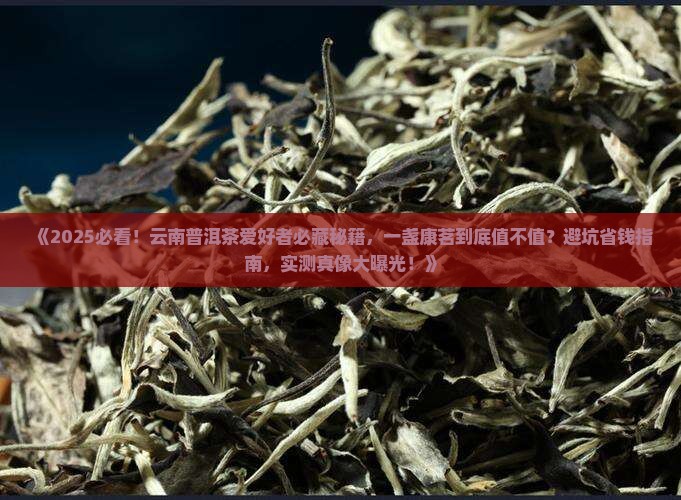 一盏康茗云南普洱茶