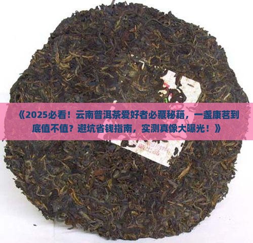 一盏康茗云南普洱茶
