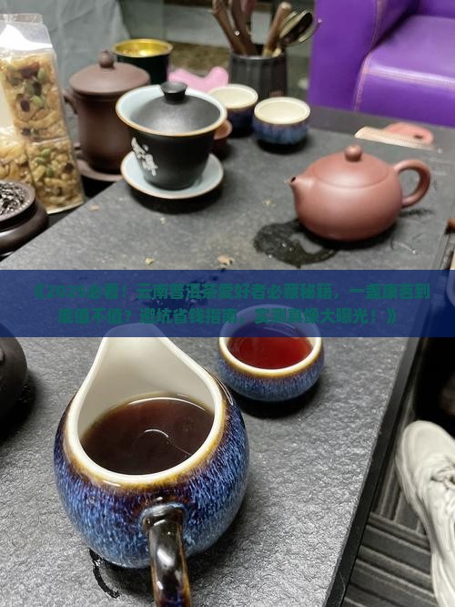 一盏康茗云南普洱茶