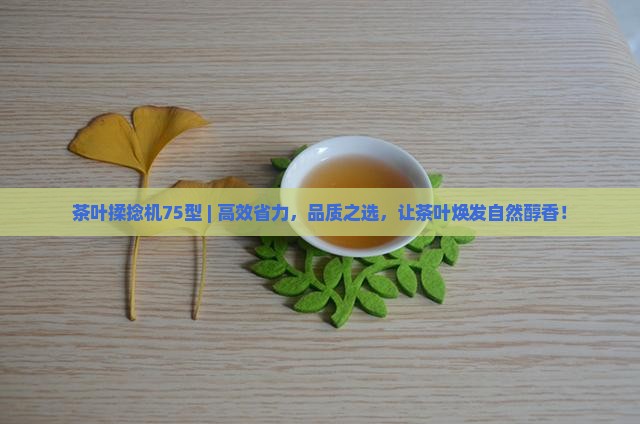 茶叶揉捻机75型