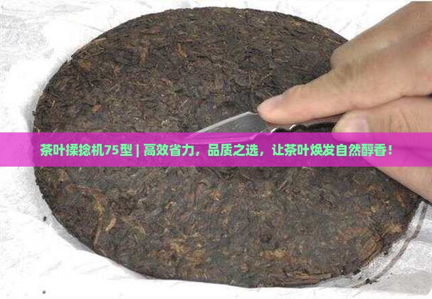 茶叶揉捻机75型