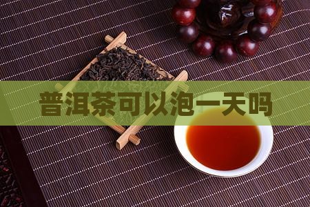 普洱茶一次能泡一天吗