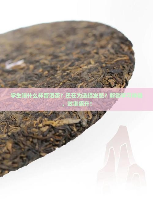 学生喝什么样普洱茶