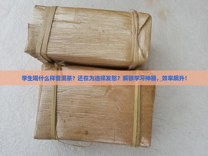 学生喝什么样普洱茶