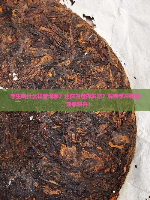 学生喝什么样普洱茶