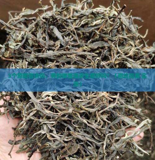 男的做普洱茶生意好吗现在