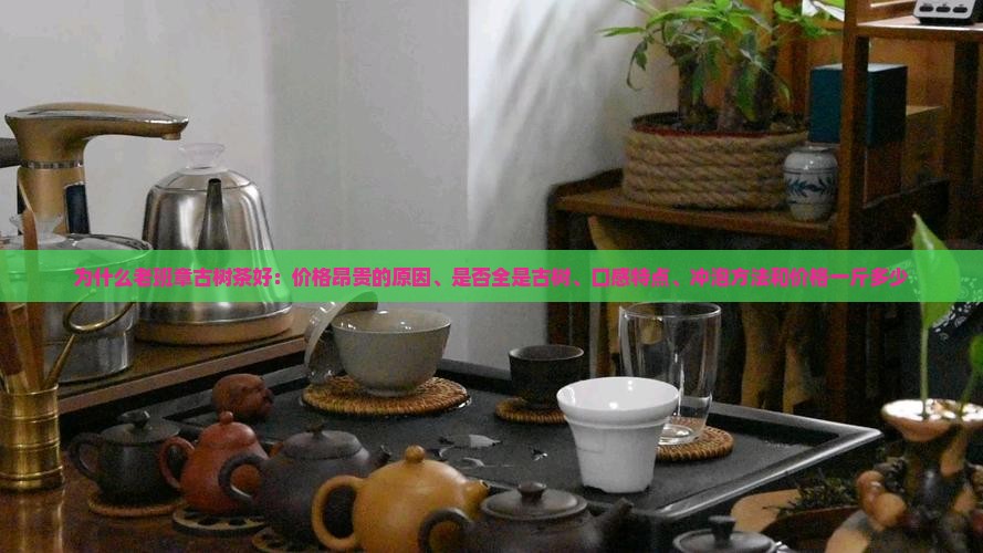 为什么老班章古树茶好