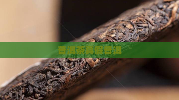 普洱茶大师讲真假