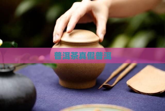 普洱茶大师讲真假