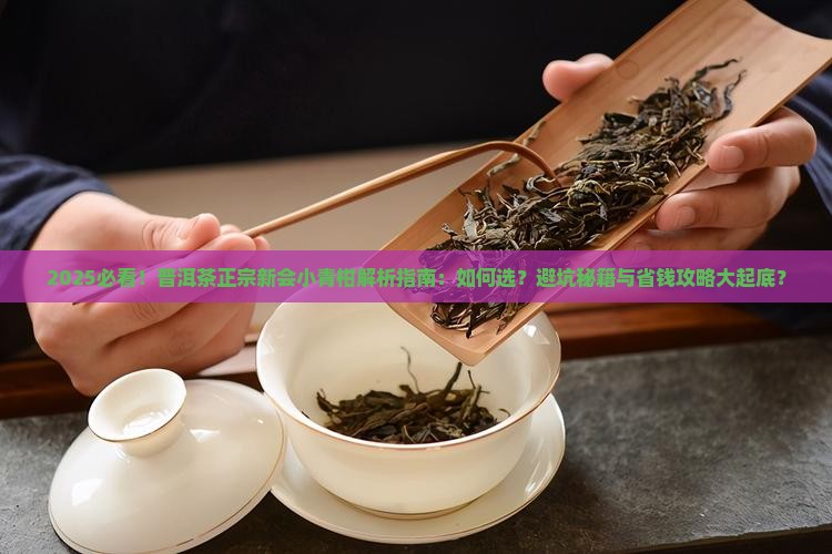 普洱茶正宗新会小青柑
