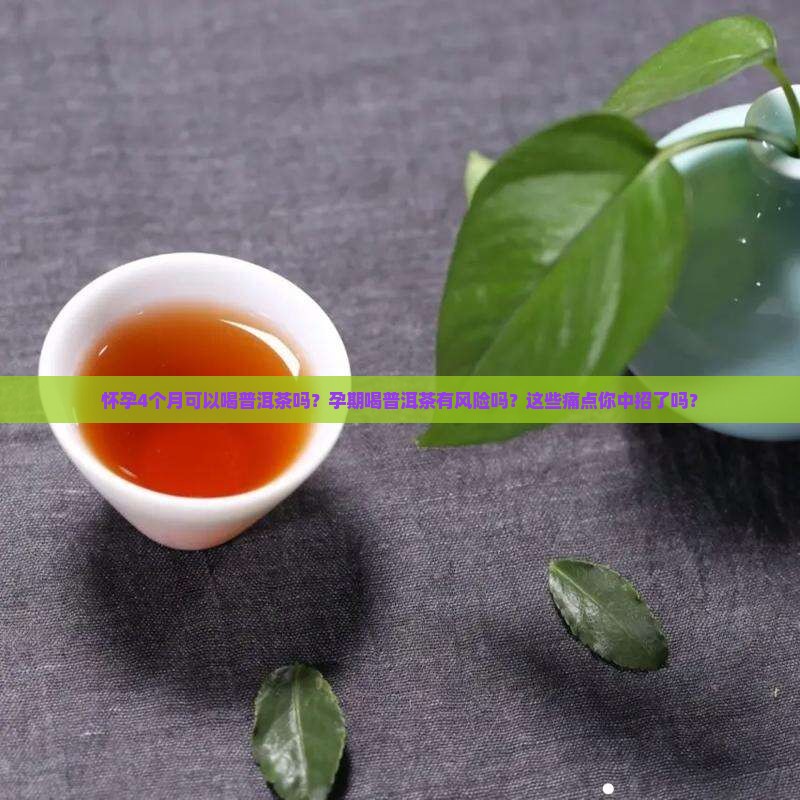 怀孕4个月可以喝普洱茶吗