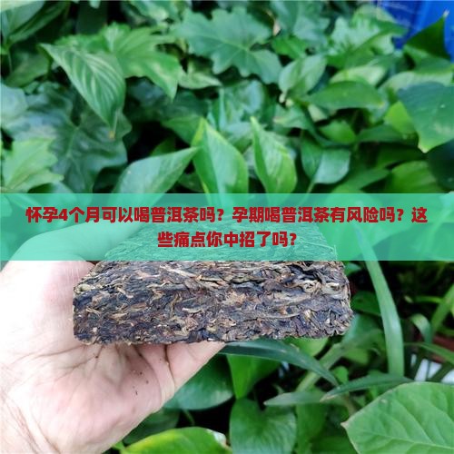 怀孕4个月可以喝普洱茶吗