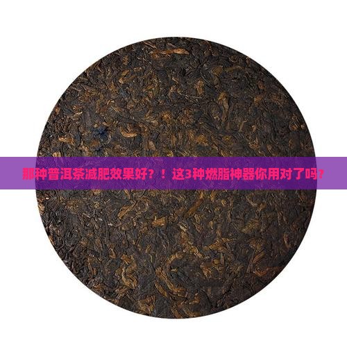 那种普洱茶减肥效果好