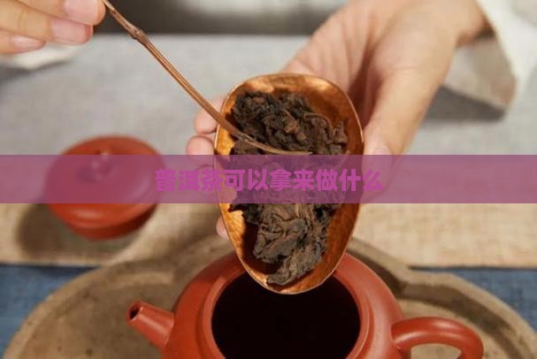 普洱茶可以拿来做什么
