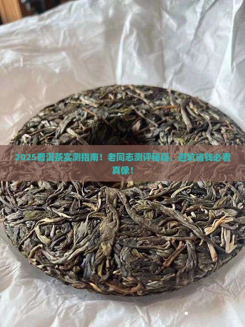 普洱茶测评老同志