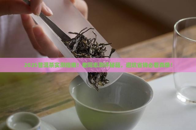 普洱茶测评老同志