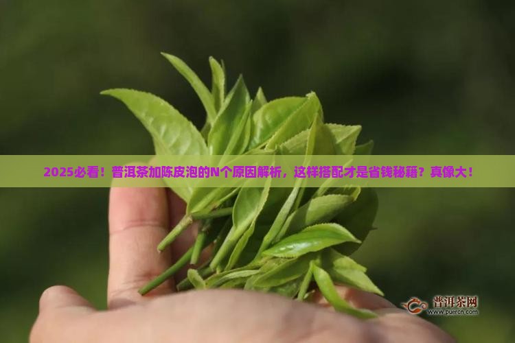 普洱茶为啥要加陈皮泡呢