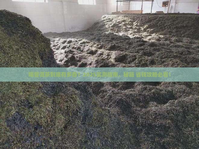 喝普洱茶是什么意思