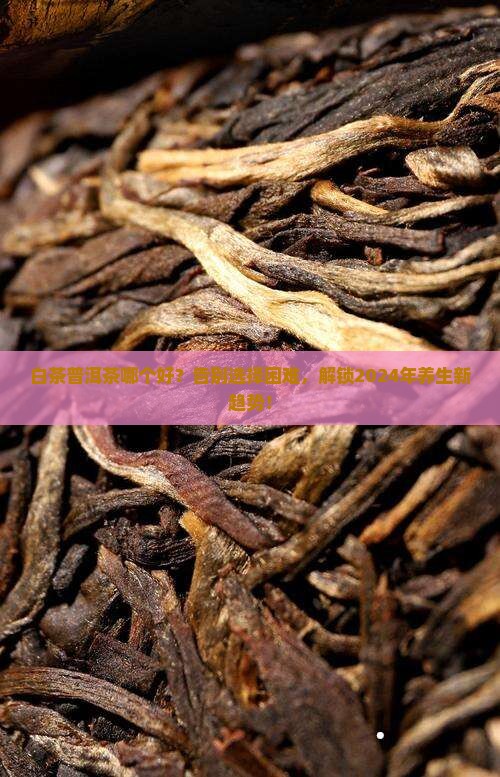 白茶普洱茶哪个好