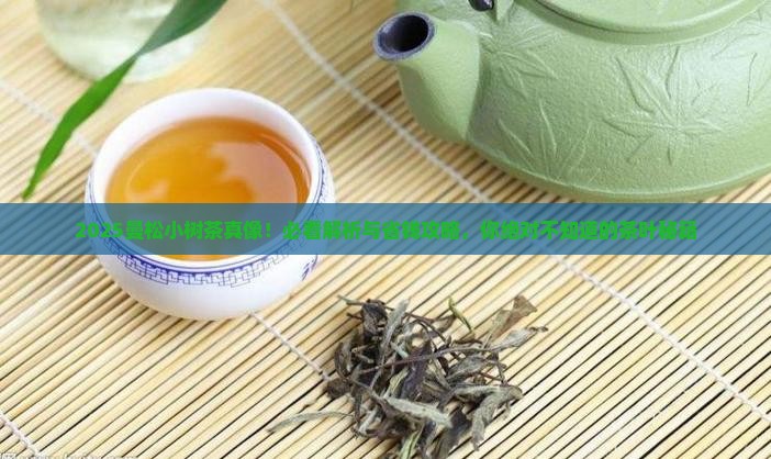 曼松小树茶是什么茶