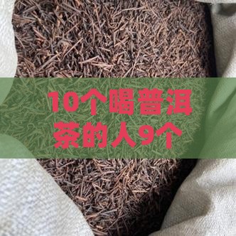 喝普洱茶属于什么茶